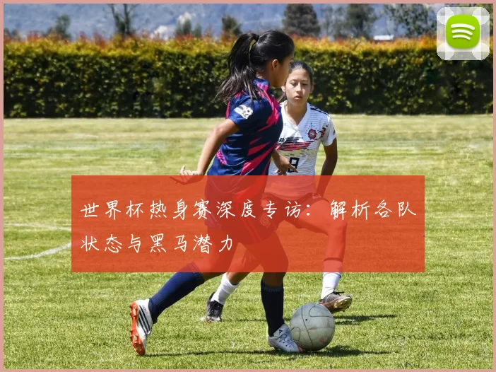 世界杯热身赛深度专访：解析各队状态与黑马潜力