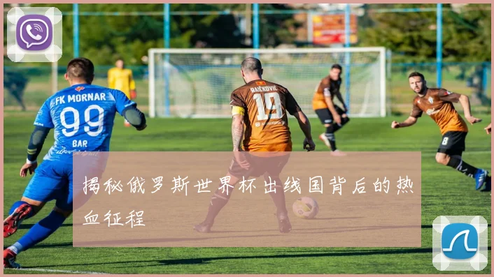 揭秘俄罗斯世界杯出线国背后的热血征程