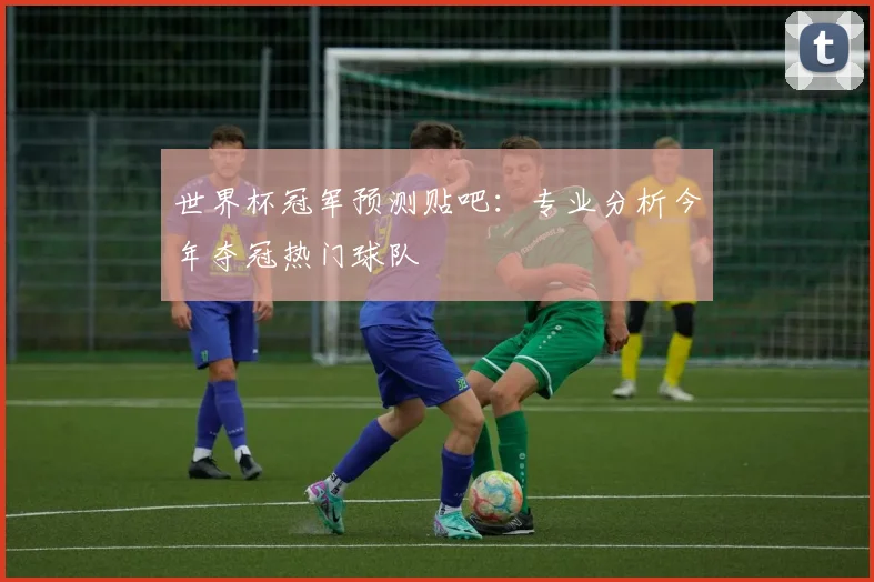 世界杯冠军预测贴吧：专业分析今年夺冠热门球队